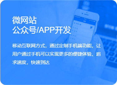 APP定制开发